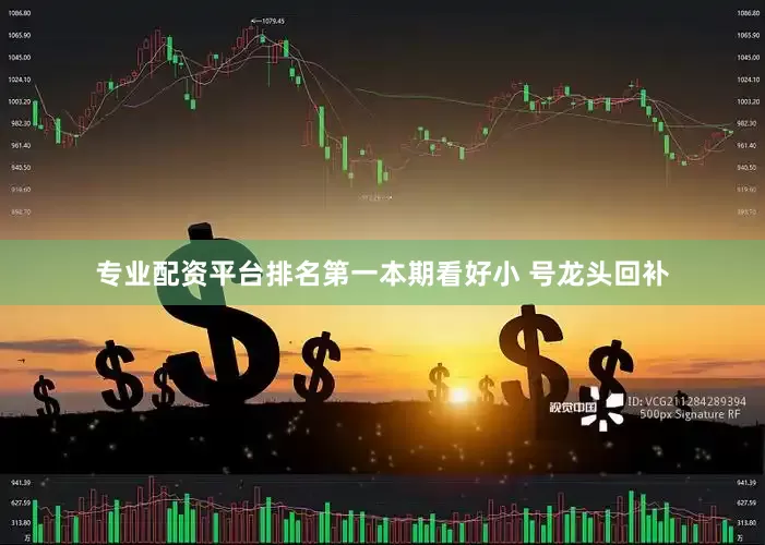 专业配资平台排名第一本期看好小 号龙头回补