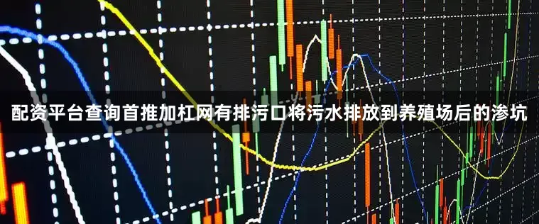 配资平台查询首推加杠网有排污口将污水排放到养殖场后的渗坑