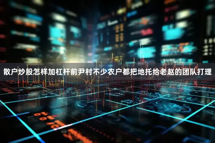 散户炒股怎样加杠杆前尹村不少农户都把地托给老赵的团队打理