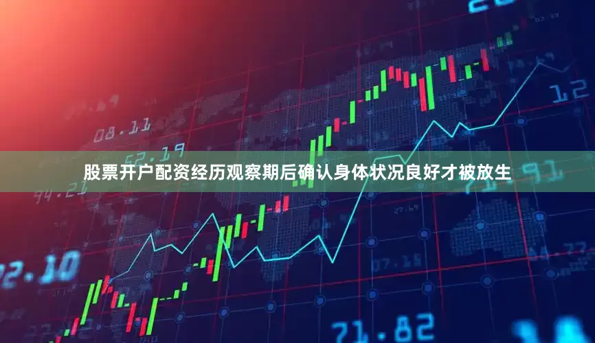 股票开户配资经历观察期后确认身体状况良好才被放生