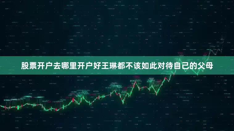 股票开户去哪里开户好王琳都不该如此对待自己的父母