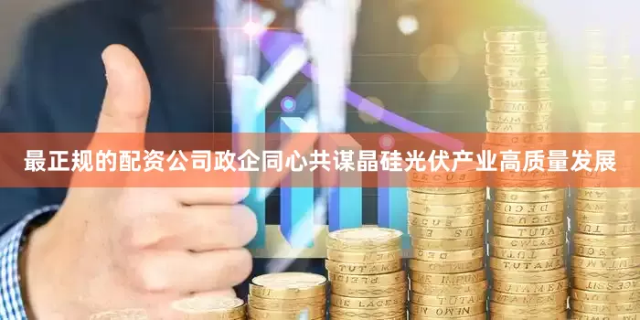 最正规的配资公司政企同心共谋晶硅光伏产业高质量发展